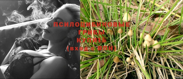 шишки Алзамай
