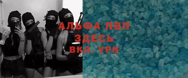 шишки Алзамай