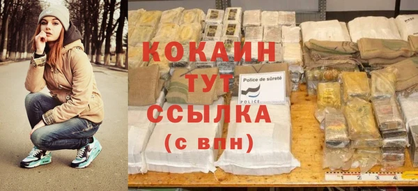 шишки Алзамай