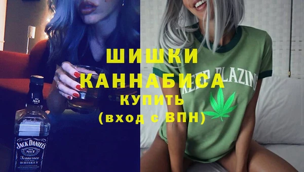 шишки Алзамай