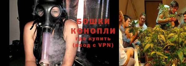 шишки Алзамай