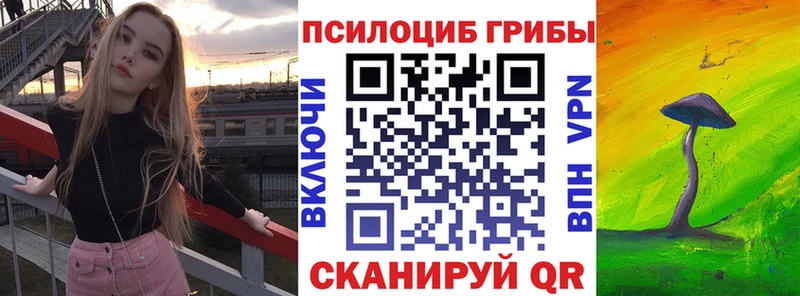 где купить   Тосно  Галлюциногенные грибы Cubensis 